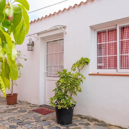 Casa Unifamiliar Villa Tejina ภายนอก รูปภาพ